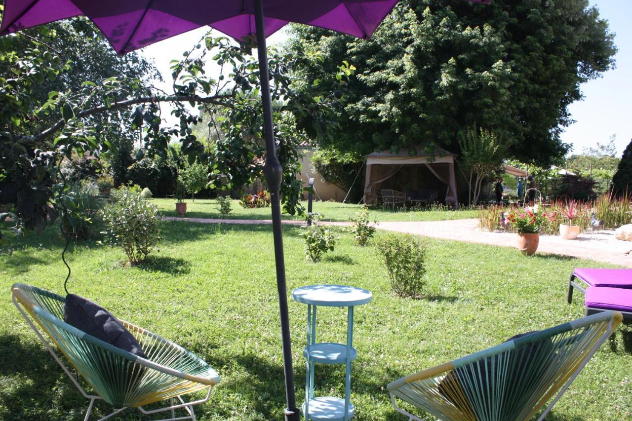 Ferienwohnung Les Milahinas Lescure-dʼAlbigeois Exterior foto